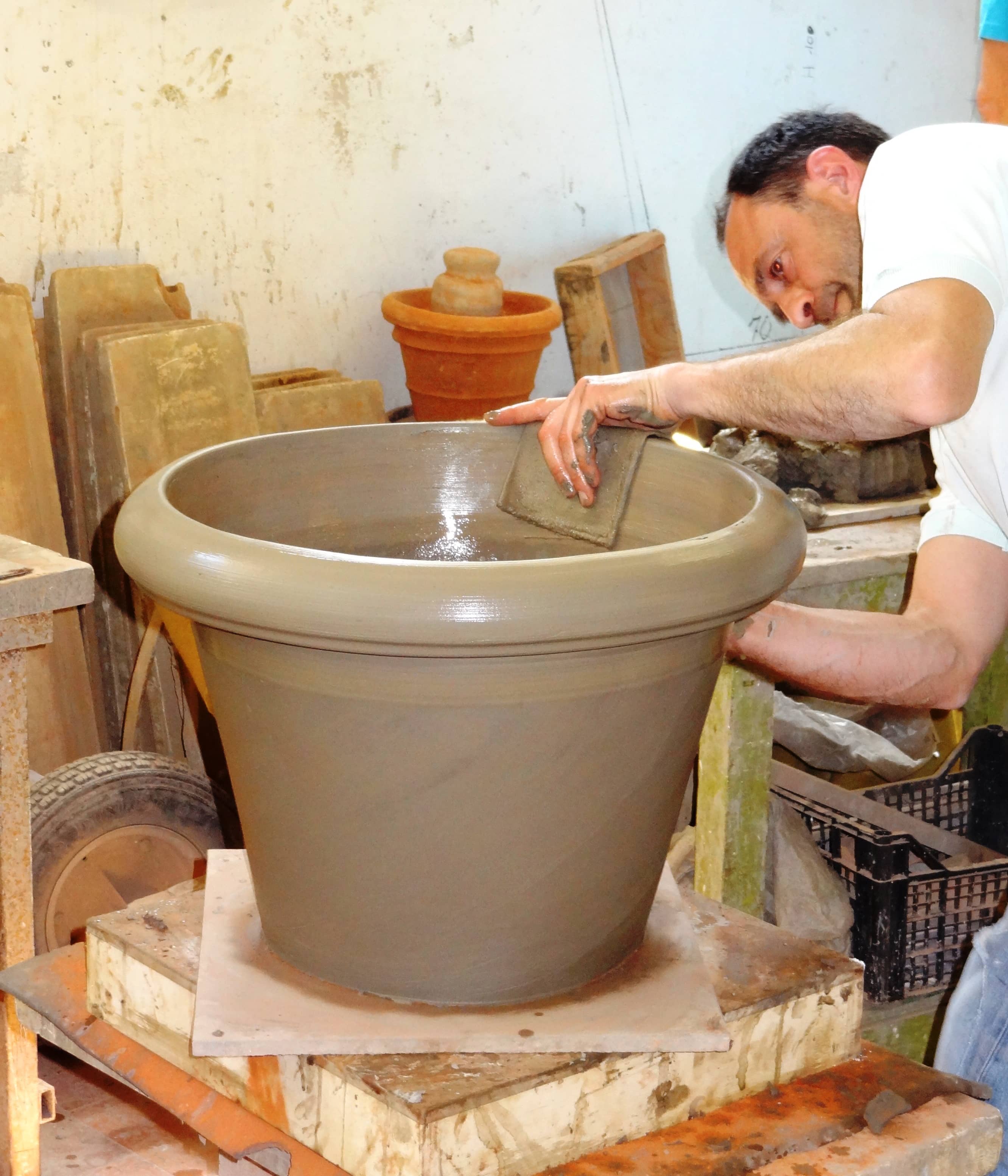 PESCI GIORGIO E FIGLI – SOCIETA’ A RESPONSABILITA’ LIMITATA