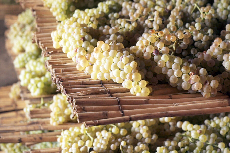 Fattoria Piccaratico