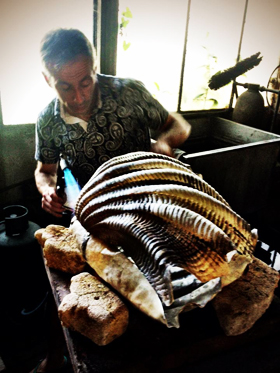 Foglia Firenze 1935 Sas di Eleonora Lunardi & C.