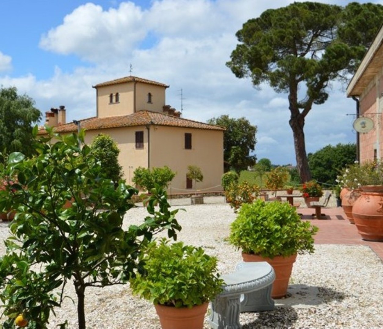 Terre di Perseto – Azienda Agricola di Martelli Niccolò