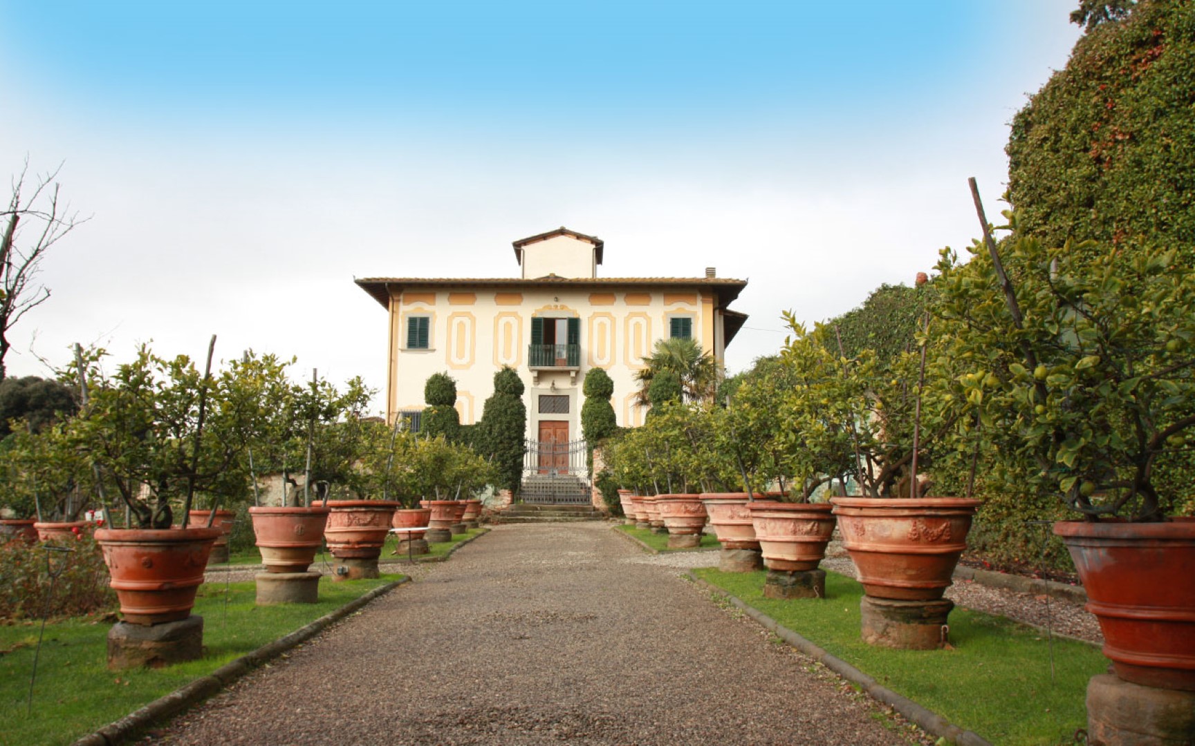 Ristorante La Limonaia di Villa Rospigliosi